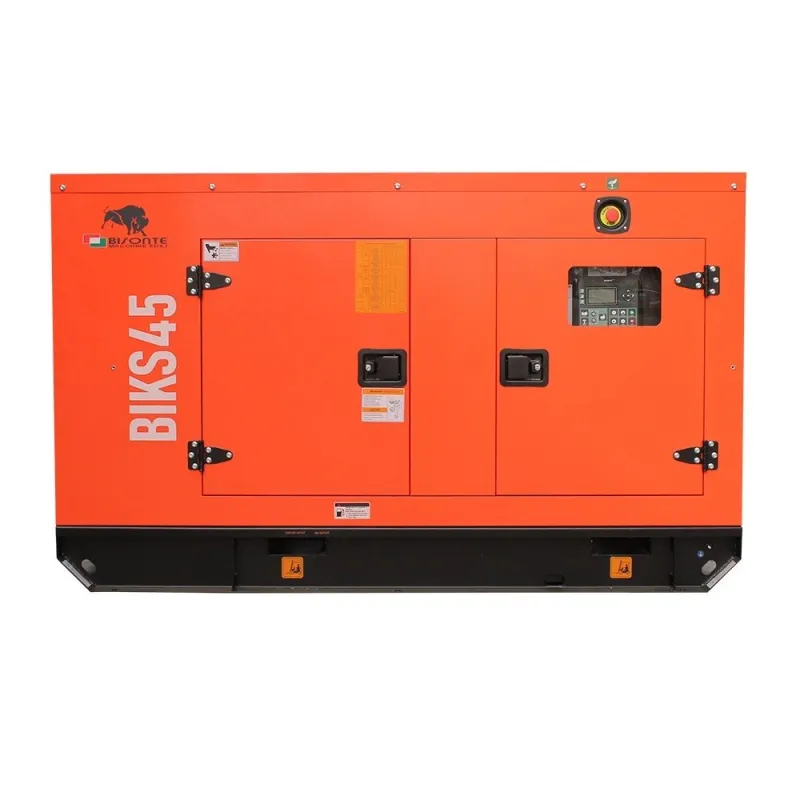 Generator de curent Bisonte BIKS45, insonorizat, Putere maxima 44kVA 400V ATS inclus